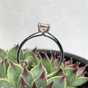 Delicate Solitaire Morganite Four Claw White Gold Ring
