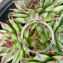 Delicate Solitaire Morganite Four Claw White Gold Ring