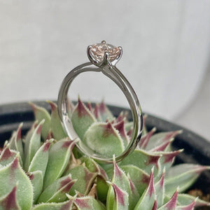 Delicate Solitaire Morganite Four Claw White Gold Ring