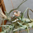 Divine Oval Morganite and Diamond Shoulder Highlight Ring