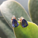 Double Claw Pear Cut Tanzanite Rose Gold Studs