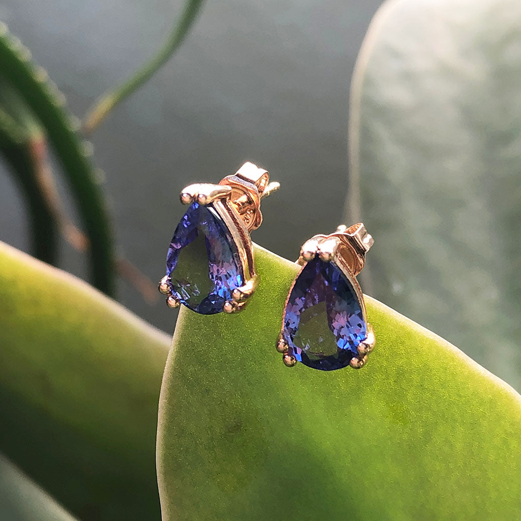 Double Claw Pear Cut Tanzanite Rose Gold Studs