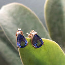 Double Claw Pear Cut Tanzanite Rose Gold Studs