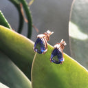 Double Claw Pear Cut Tanzanite Rose Gold Studs