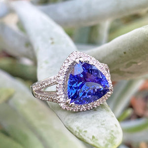 Double Diamond Shoulder Trilliant Cut Tanzanite and Diamond Halo Ring