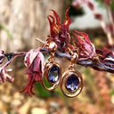 Double Oval Bezel Tanzanite Drop Rose Gold Earrings
