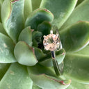 Elegant Double Basket Solitaire White Gold Morganite Ring