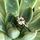 Elegant Double Basket Solitaire White Gold Morganite Ring