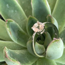 Elegant Double Basket Solitaire White Gold Morganite Ring