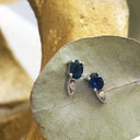 Elegant Oval Blue Sapphire and Diamond Studs