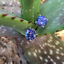 Filigree Round Tanzanite and White Gold Studs