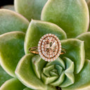 Glamorous Oval Morganite and Double Diamond Halo Rose Gold Ring