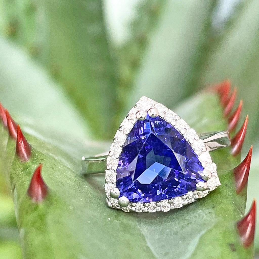 Gorgeous Diamond Halo Trilliant Cut Tanzanite Ring