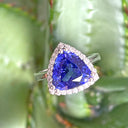 Gorgeous Diamond Halo Trilliant Cut Tanzanite Ring