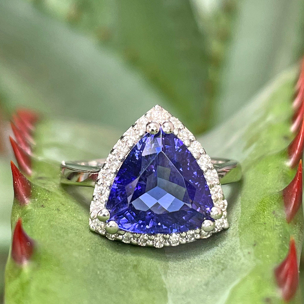 Gorgeous Diamond Halo Trilliant Cut Tanzanite Ring