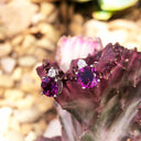 Grape Garnet Studs wih Petit Diamond Accent