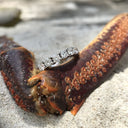 White Gold 15 Diamond 3/4 Eternity Band