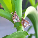 Rose Gold Morganite Trilliant and Diamond Earrings Media 1 of 3