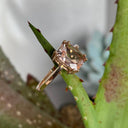 Double Claw Cushion Cut Morganite Rose Gold Ring