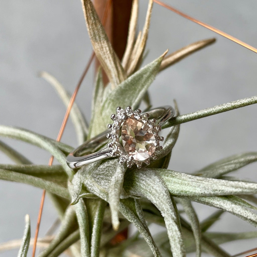 Diamond Halo Pear Cut Morganite White Gold Ring