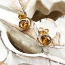 Circle Twist Citrine and Yellow Gold Studs