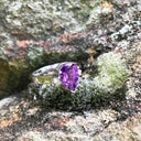 Pear Cut Amethyst Ring with Diamond Accents