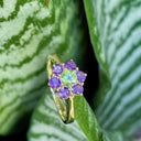 Amethyst and Peridot Flower Ring