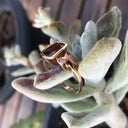 Garnet and Diamond Rose Gold ring
