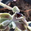  Trilliant Cut Garnet with Twisted White Gold Band