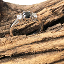 Black and White Diamond Trilogy Ring - 18ct