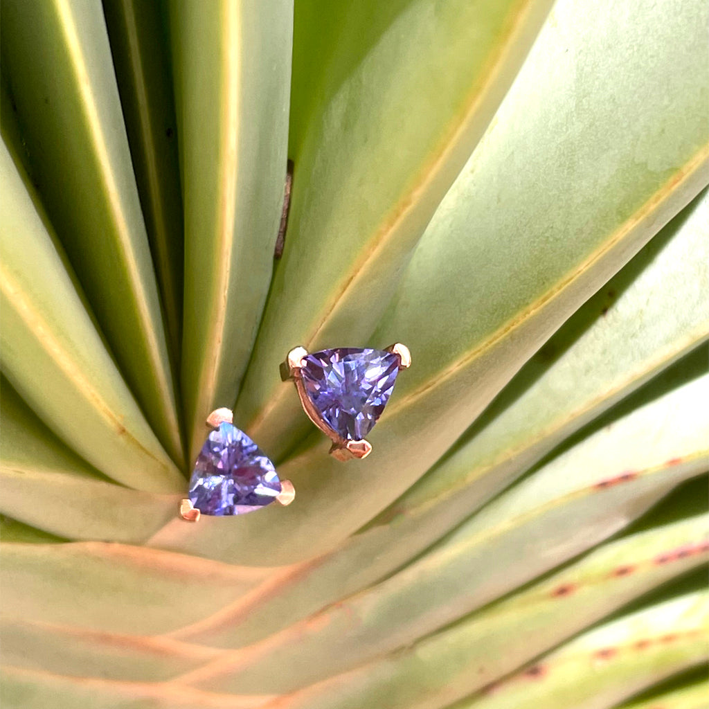 Delicate Rose Gold Trilliant Tanzanite Studs