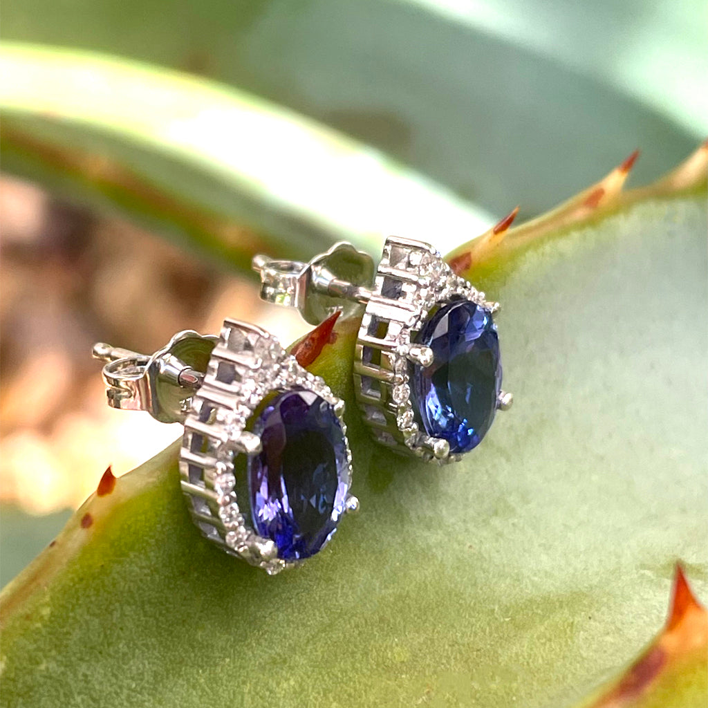 Enchanting Oval Tanzanite Trilogy Detail Diamond Halo Earrings