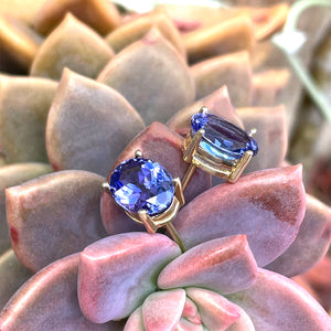 Classic Oval Cut Tanzanite Yellow Gold Four Claw Studs