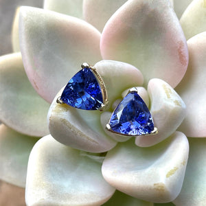 Classic Trilliant Cut Tanzanite Yellow Gold Claw Studs