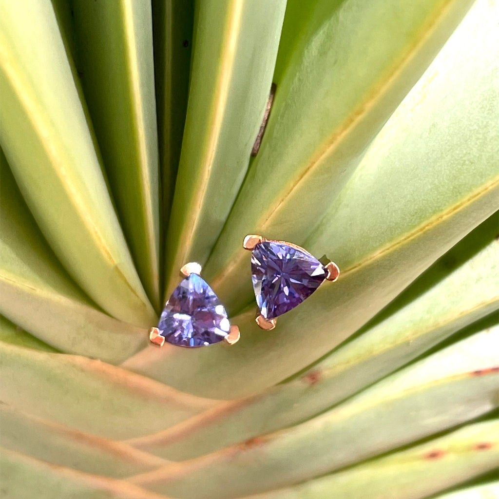 Delicate Rose Gold Trilliant Tanzanite Studs