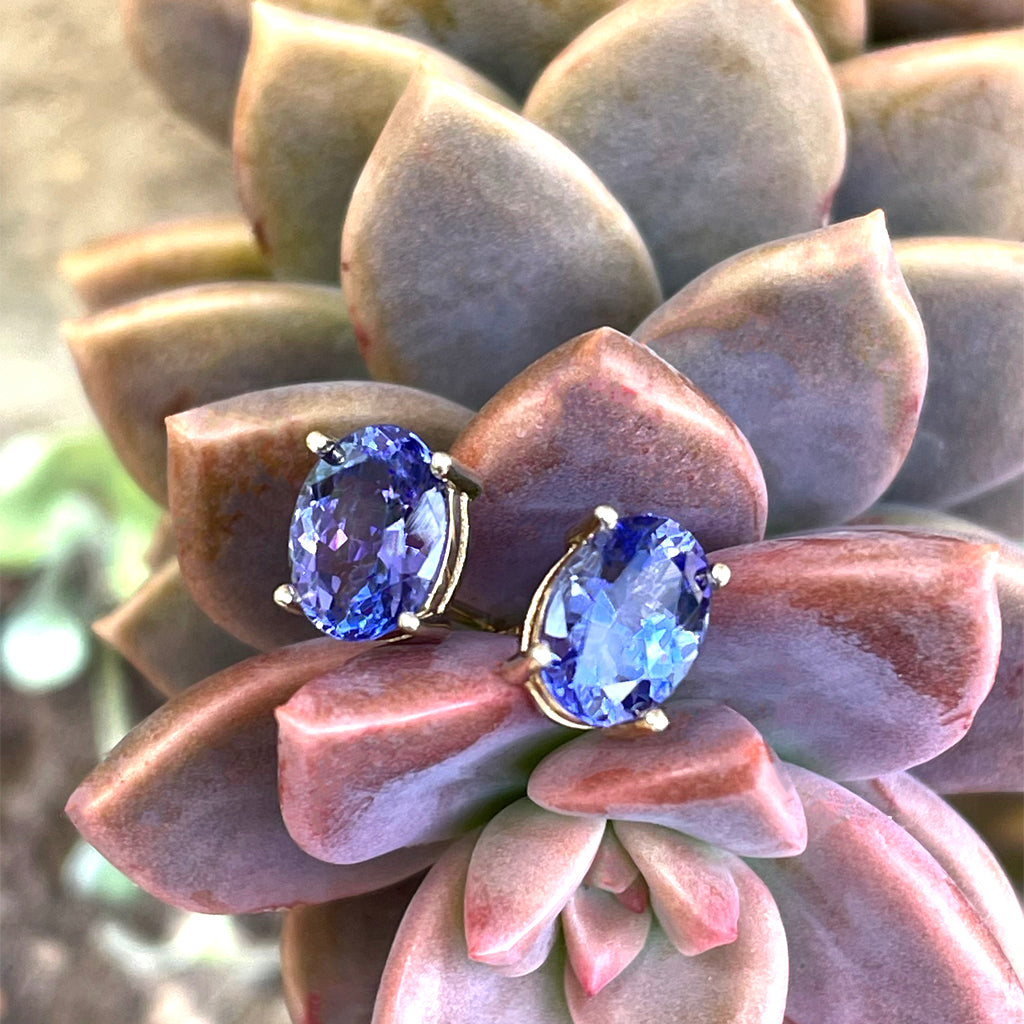 Classic Oval Cut Tanzanite Yellow Gold Four Claw Studs