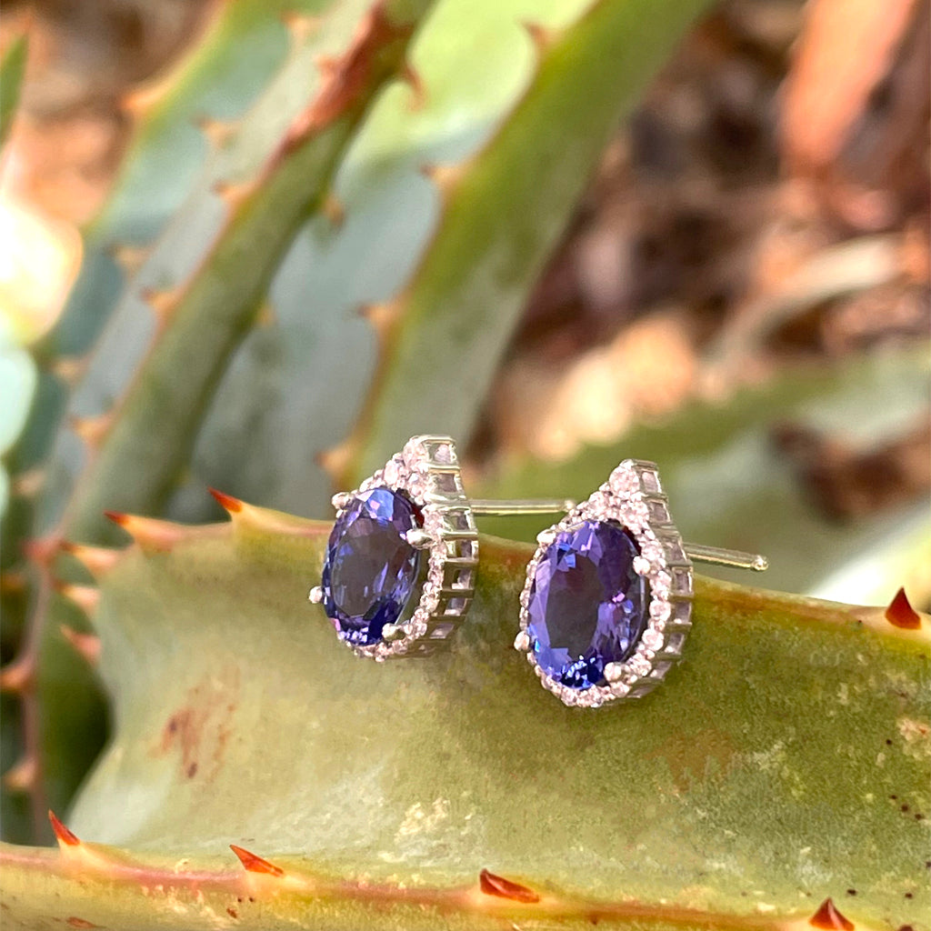 Enchanting Oval Tanzanite Trilogy Detail Diamond Halo Earrings