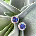 Scintillating Tanzanite with Single Diamond Halo Stud Earrings