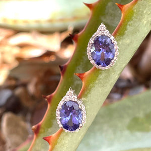 Enchanting Oval Tanzanite Trilogy Detail Diamond Halo Earrings