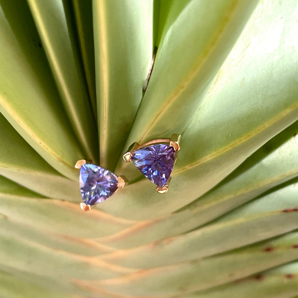 Delicate Rose Gold Trilliant Tanzanite Studs