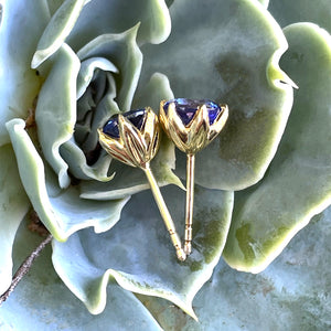 Elegant Floral Six Claw Round Cut Tanzanite Yellow Gold Studs