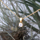 Petit Yellow Gold 4 Claw Diamond Pendant
