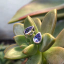 Petite Bezel Set Pear Cut Tanzanite Studs