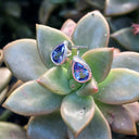 Petite Bezel Set Pear Cut Tanzanite Studs