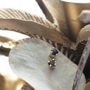 Petite Blue Sapphire Yellow Gold Studs