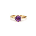 Regal Six Claw Round Cut Amethyst Yellow Gold Ring
