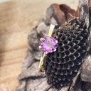 Regal Six Claw Round Cut Amethyst Yellow Gold Ring