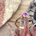 Regal Six Claw Round Cut Amethyst Yellow Gold Ring