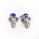 Relief Elephant Tanzanite White Gold Studs