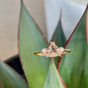 Rose Gold Double Claw Trilliant Cut Morganite With Diamond Shoulder Highlight Ring